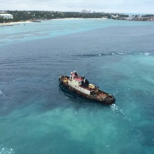 Meet your Posher, Oliver